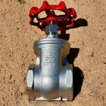 Croak Gate Valve