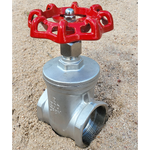 Croak Gate Valve